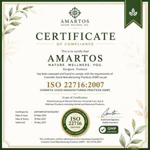 ISO 22716 — Cosmetic Good Manufacturing Practices (GMP)